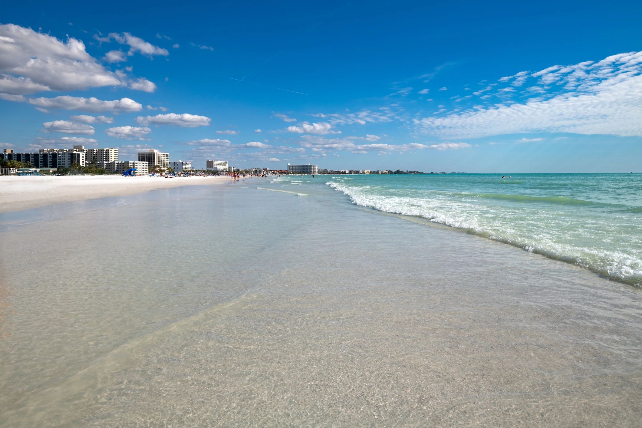 Aerial view of Sarasota coastline and neighborhoods
