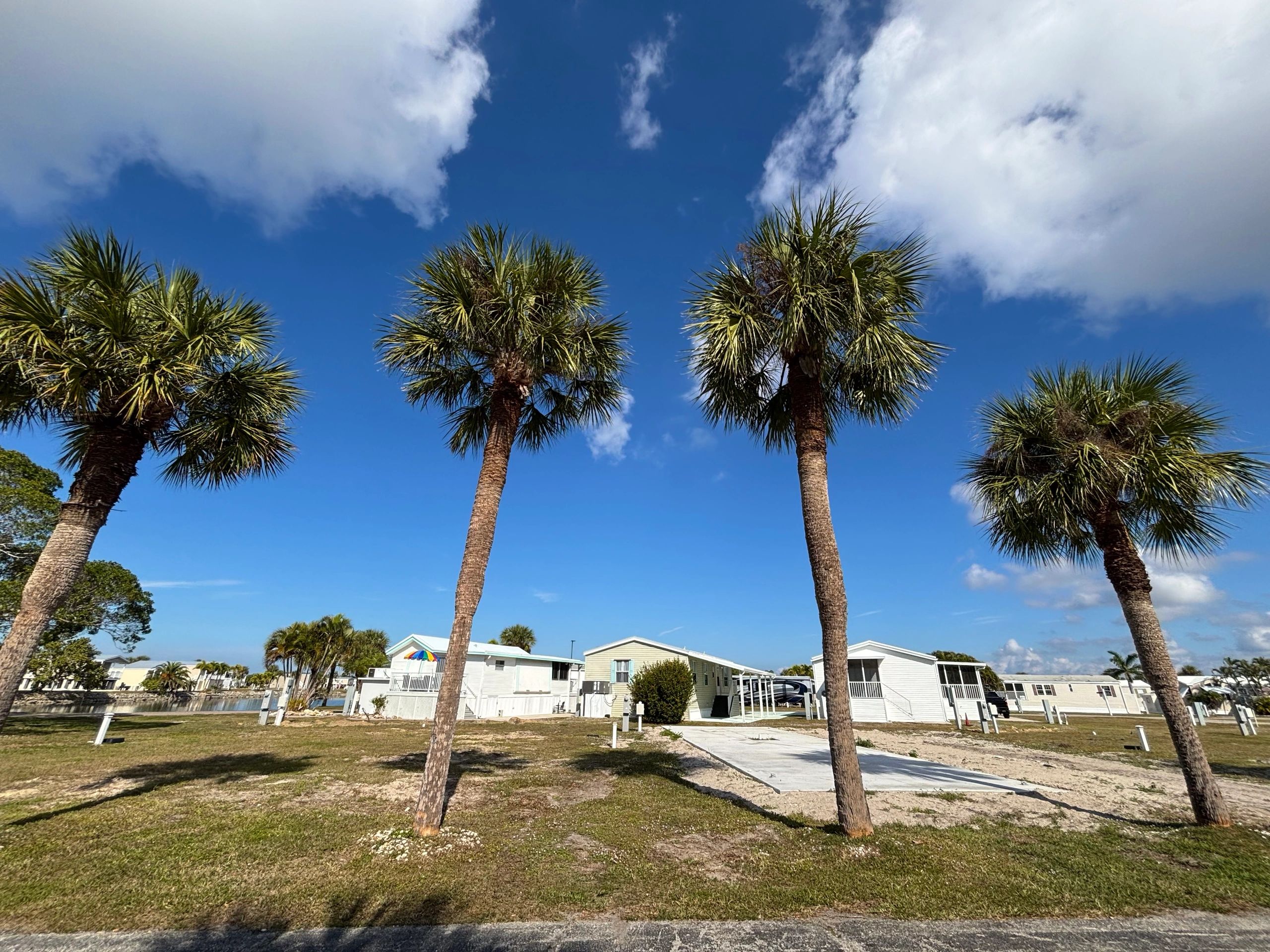 Florida residential street lined with palm trees